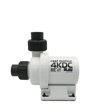 Reef Motion 4 KDC