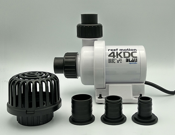 Reef Motion 4 KDC