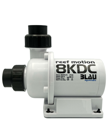Reef Motion 8KDC