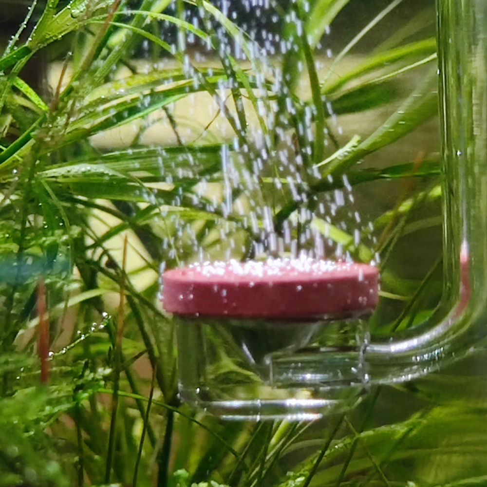 Blau Gran Cubic Experience