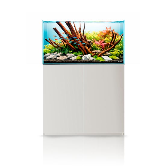 Gran Cubic  Absolute AR Vision