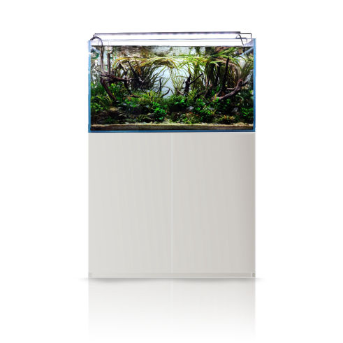 Blau Gran Cubic Experience