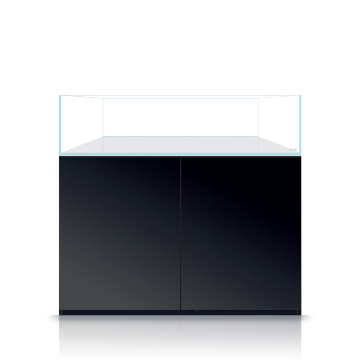 Blau Gran Cubic Experience 122