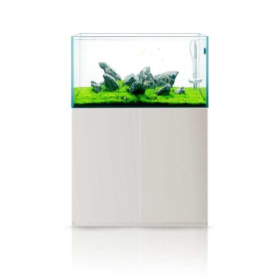 Gran Cubis Super Aquascaping