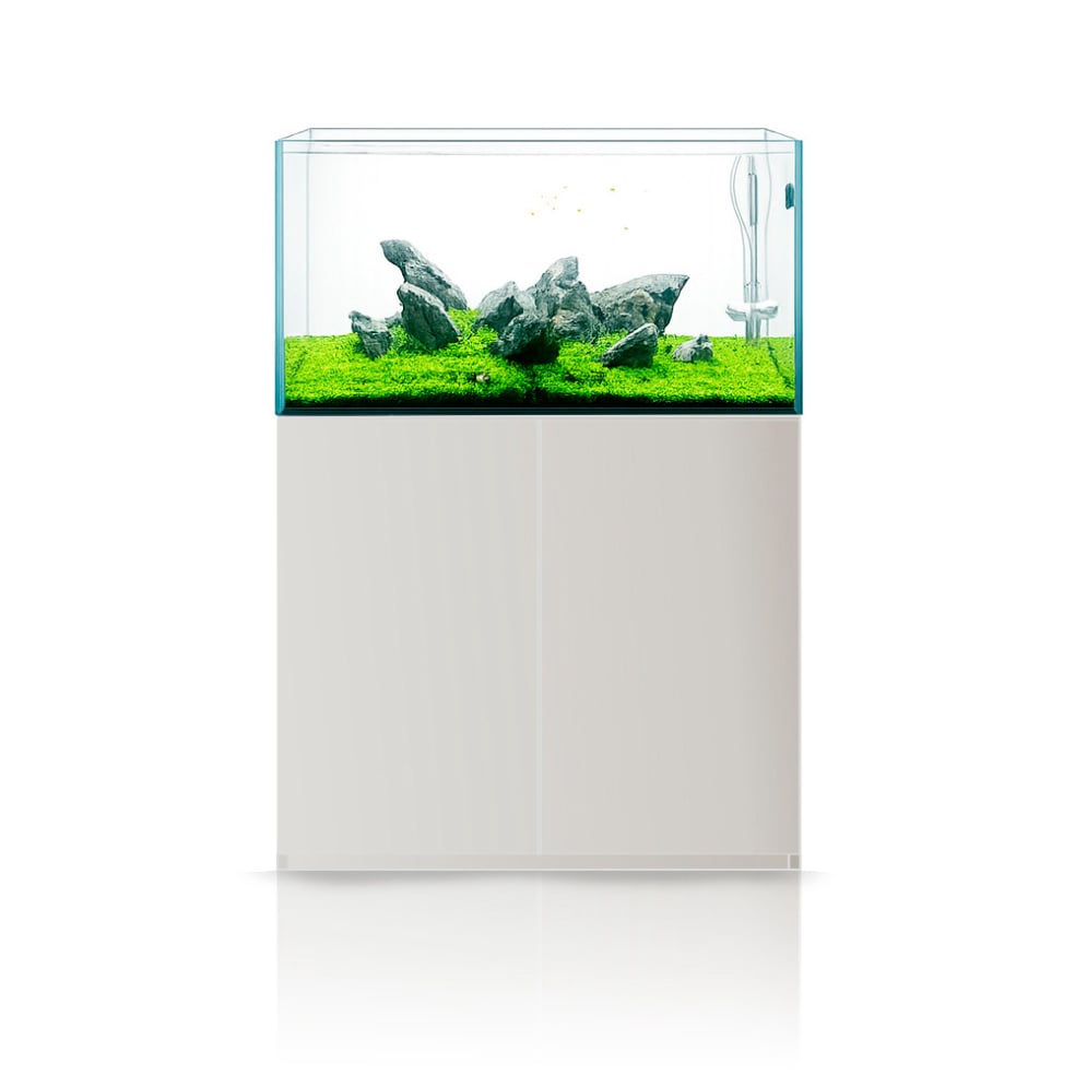 SuperAquascaping