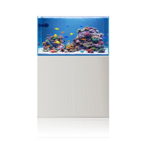 Blau Marine Gran Cubic 