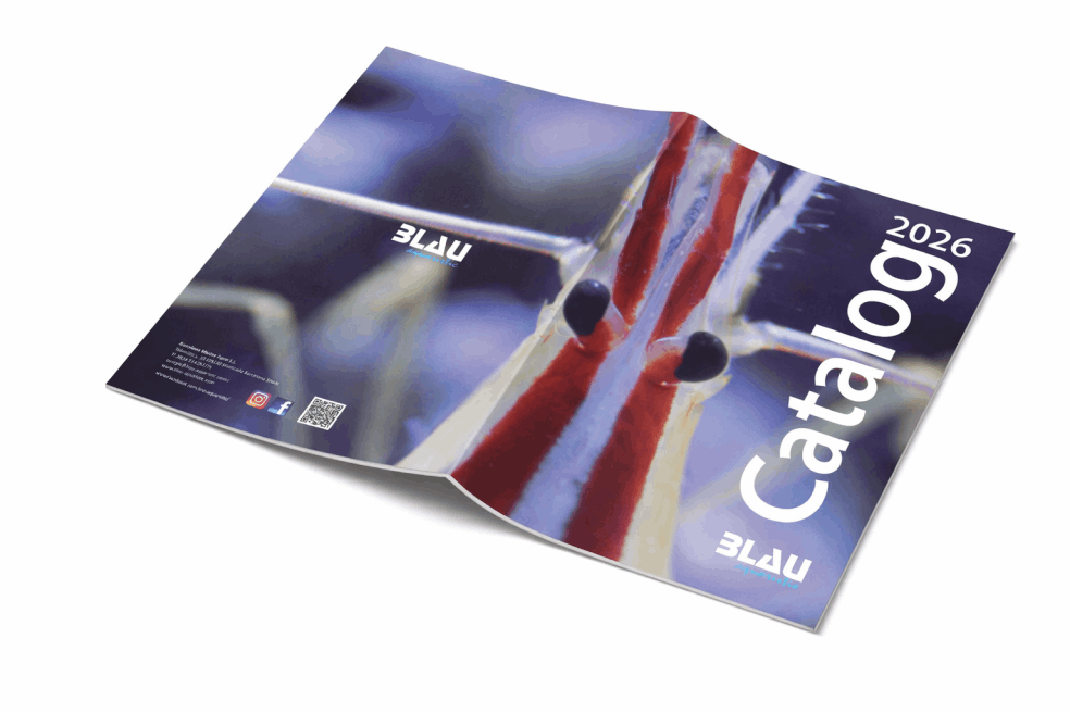 Catalogue 2026