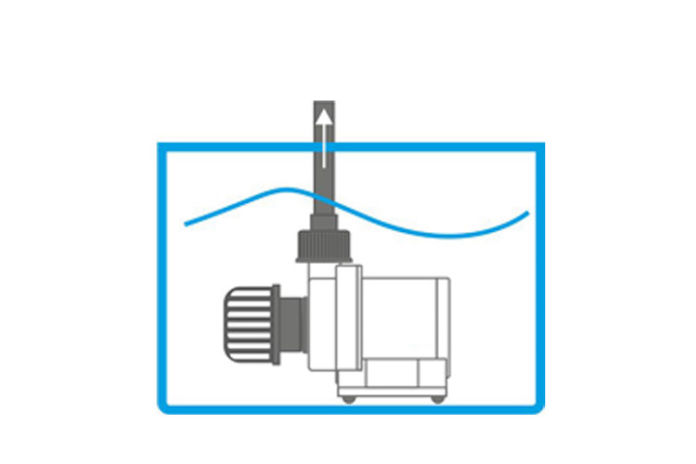 Blau Reef Motion PRO