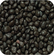 Blau Terra Activa Brown fine