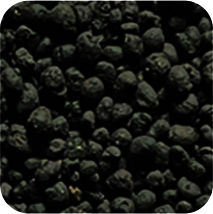 Blau Terra Activa premium