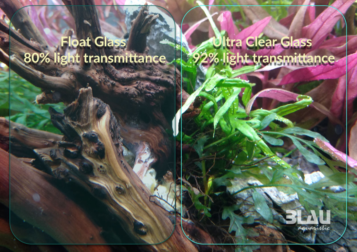 Blau Gran Cubic Experience